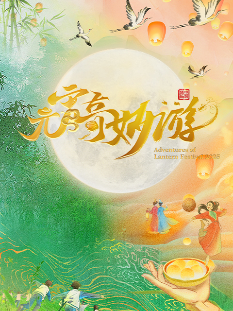 河南卫视元宵奇妙游封面图