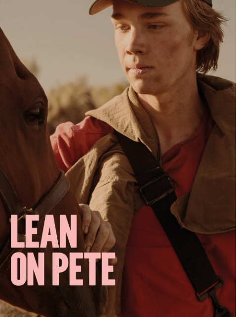 赛马皮特封面图