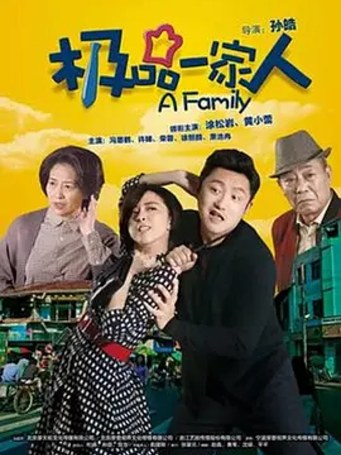 极品一家人封面图