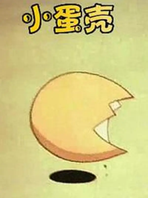 小蛋壳封面图