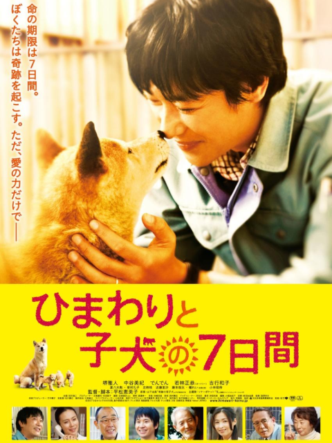 第7日的奇迹封面图