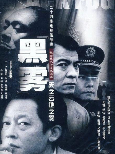 天之云，地之雾封面图