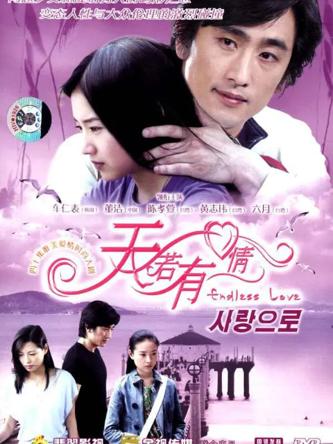 天若有情封面图