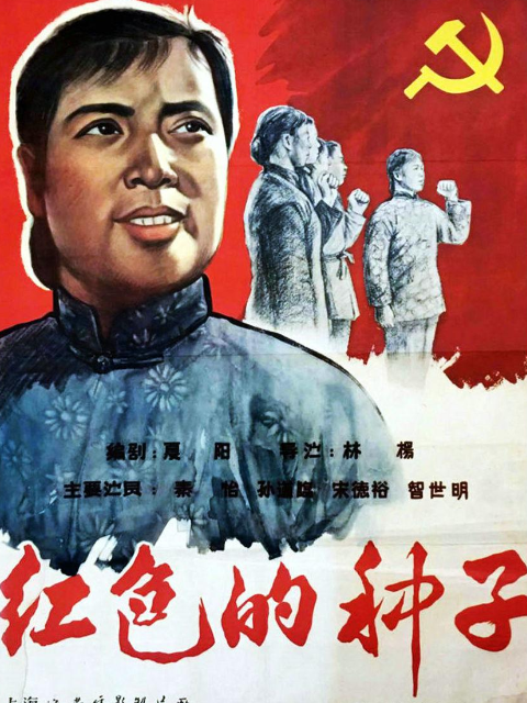 红色的种子封面图