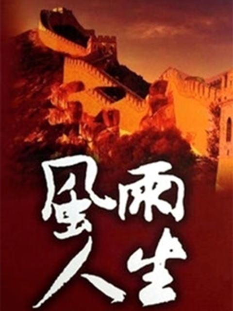 风雨人生封面图