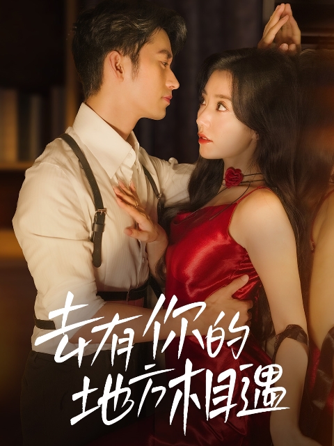 去有你的地方相遇封面图