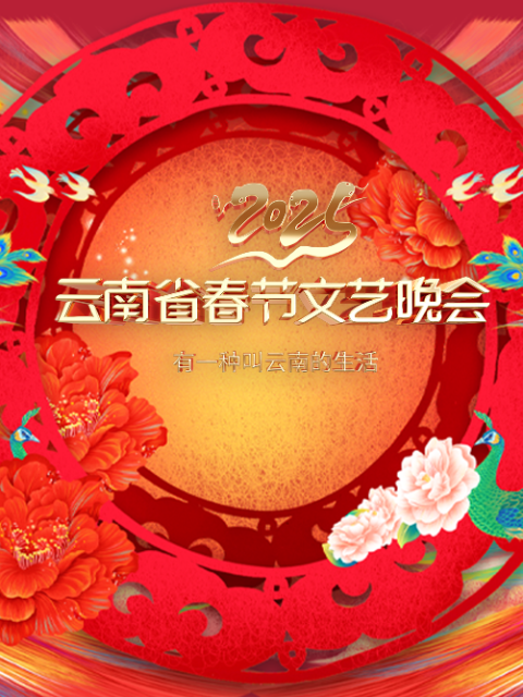 云南省春节文艺晚会封面图