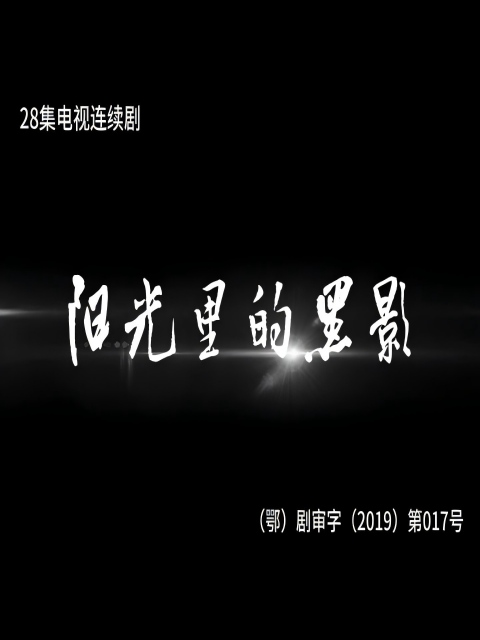 阳光里的黑影封面图