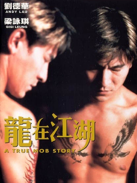 龙在江湖封面图