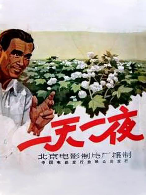 一天一夜封面图