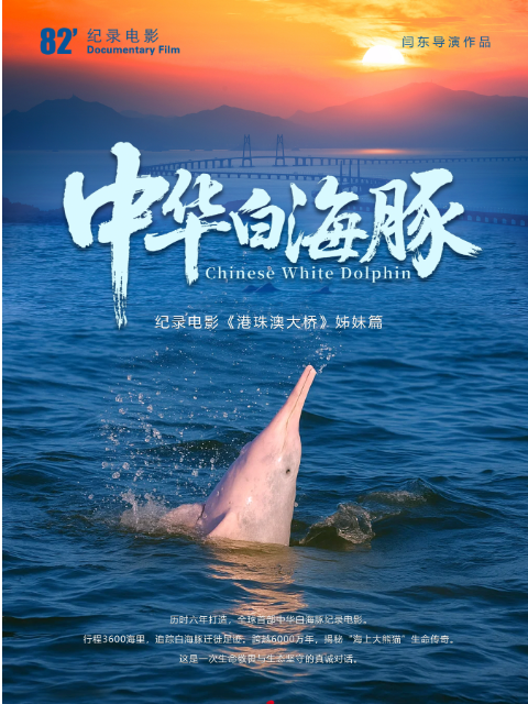 中华白海豚封面图