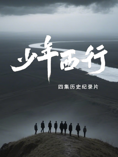 少年西行封面图