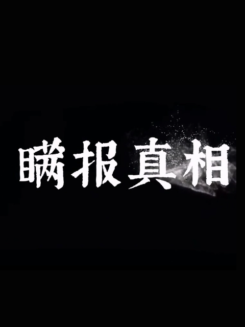 瞒报真相封面图