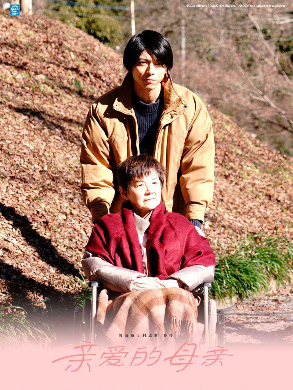 假面骑士利维斯外传亲爱的母亲封面图