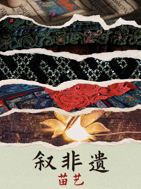 叙非遗苗艺封面图