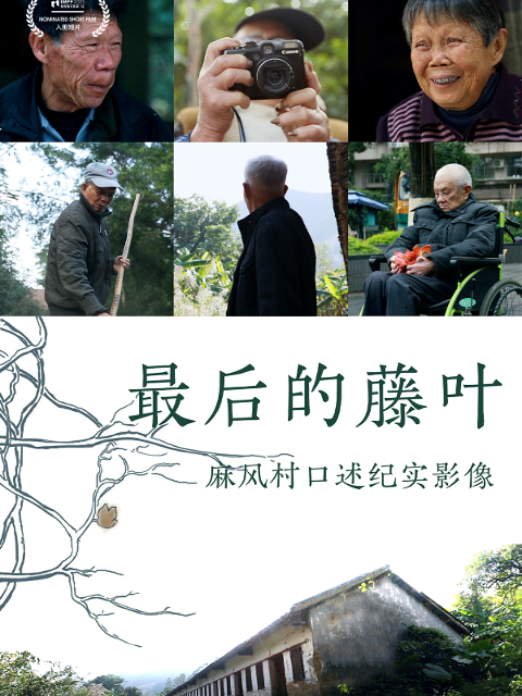 最后的藤叶封面图