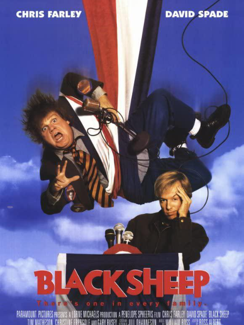 冒牌大间谍封面图