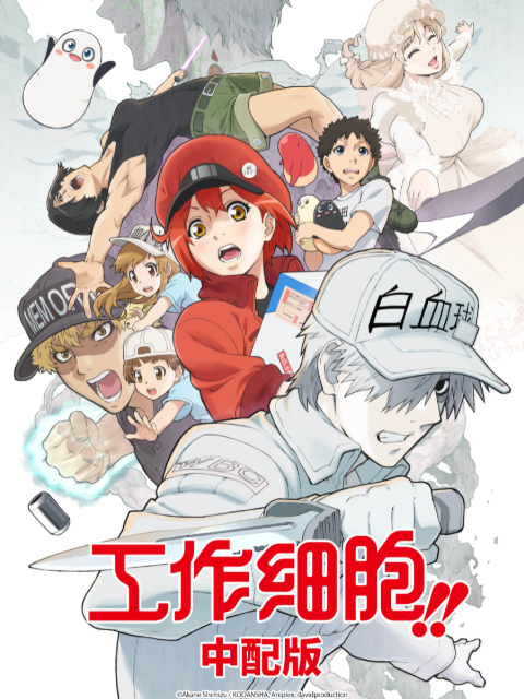 工作细胞第二季（中配版）封面图