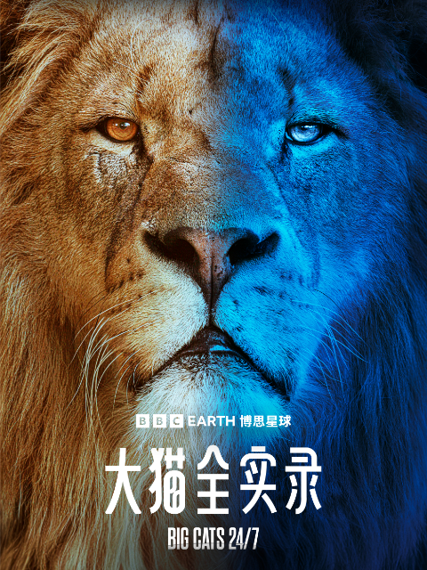 大猫全实录封面图