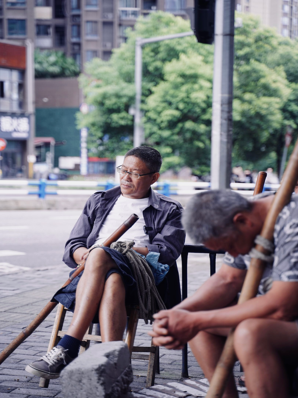 再见，棒棒封面图