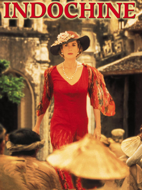 情证今生封面图