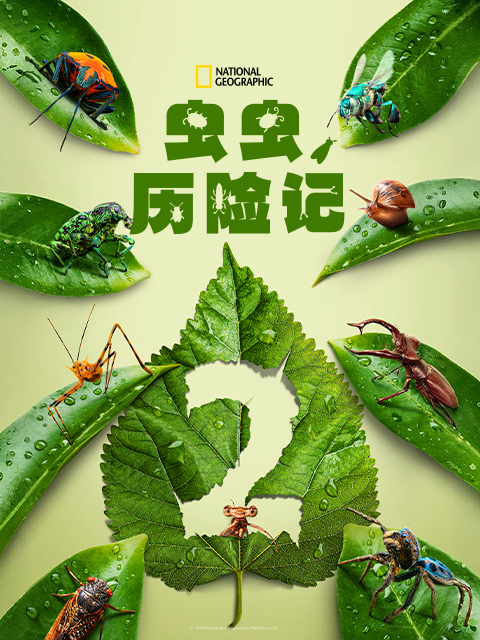 虫虫历险记第二季封面图