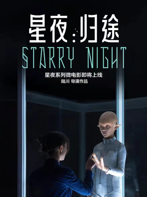 星夜归途封面图
