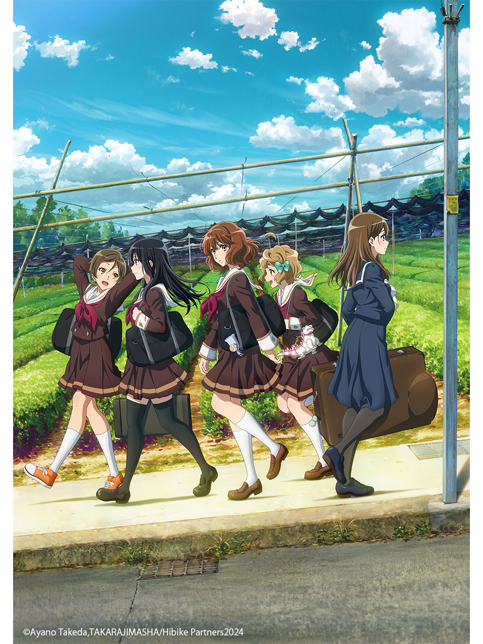 吹响吧！上低音号第三季封面图