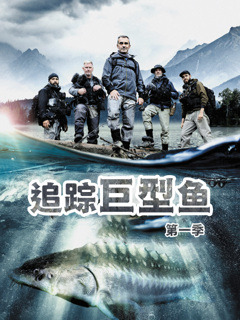 追踪巨型鱼封面图