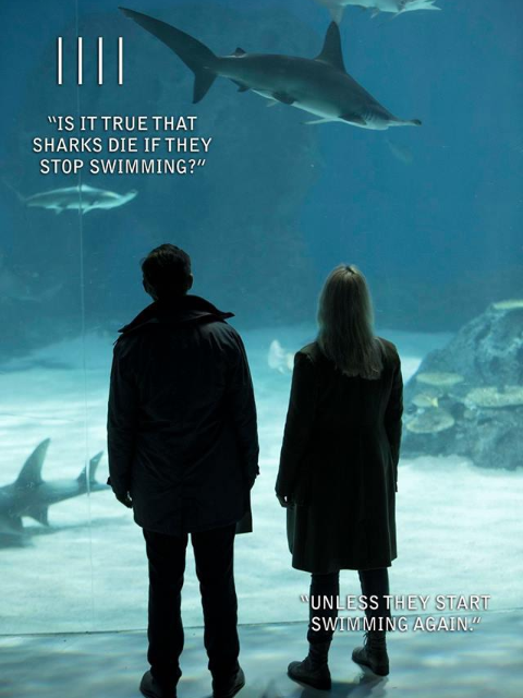 登岛第四季封面图