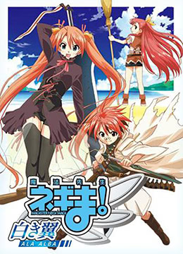 魔法老师白色之翼ALAALBA封面图