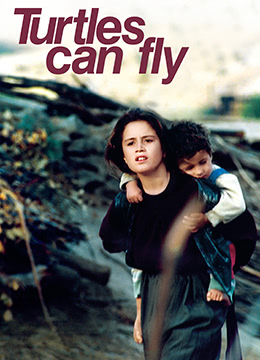 乌龟也会飞封面图