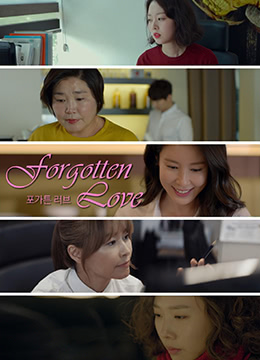 波加顿之恋封面图