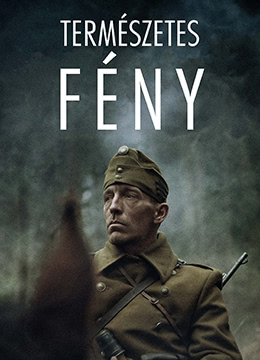 自然光线封面图