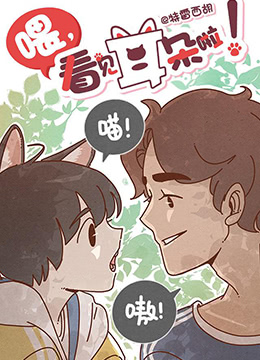 喂看见耳朵啦封面图