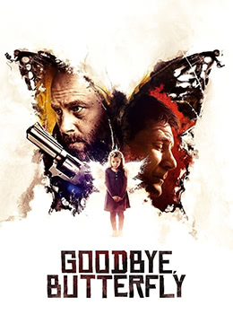 再见了小蝴蝶封面图