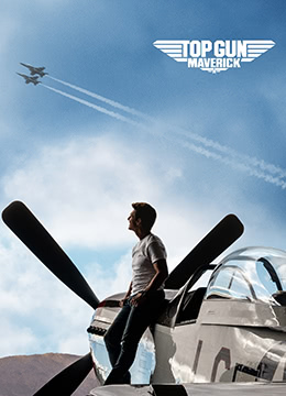 壮志凌云2:独行侠封面图