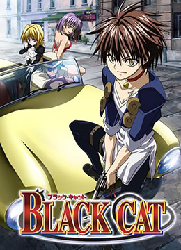 黑猫封面图