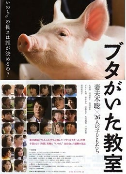 小猪教室封面图