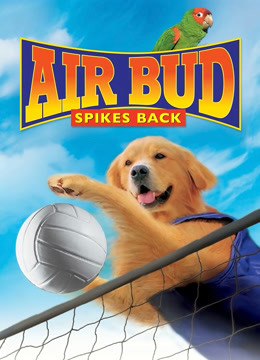 飞狗巴迪5：排球健将封面图