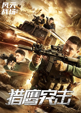 猎鹰突击封面图