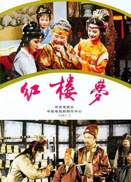 红楼梦87封面图