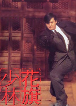 花旗少林（粤语）封面图