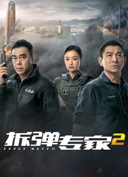 拆弹专家2粤配封面图