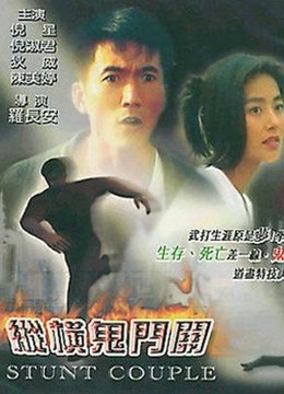 伴你纵横封面图