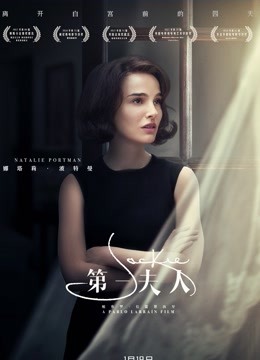 第一夫人（普通话）封面图