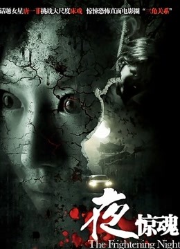 夜惊魂（2011）封面图