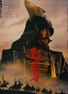 影子武士封面图