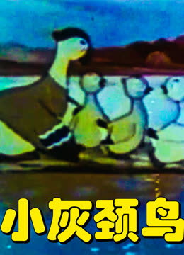 小灰颈鸟封面图