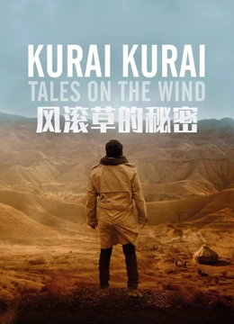 风滚草的秘密封面图